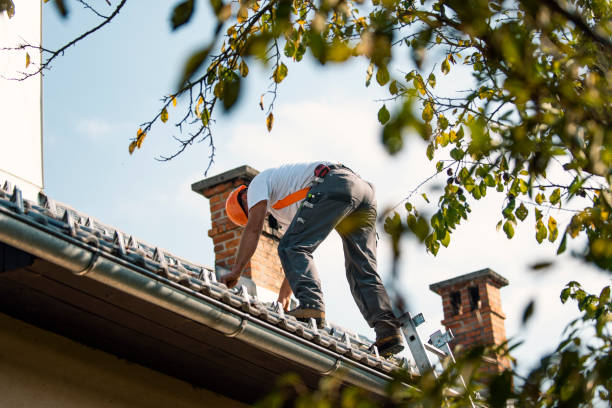 Fast & Reliable Emergency Roof Repairs in Spring Valley, IL